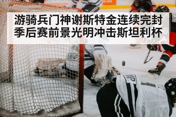 hockey save